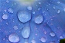 年数が経ってくると弾き具合が～♪