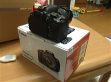 また衝動買い