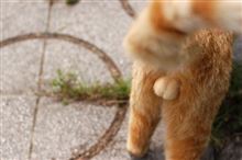 余りにも不評なので…