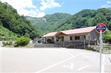 ココにしか咲かない花♪ ココにしか咲かない花♪