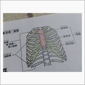 なんか最近 胸のみぞおち辺りの骨が出てきた 汗 Masato5555のブログ 毎日ブログ更新宣言 目指せ快適ユーロスタイルfreed みんカラ なんか最近 胸のみぞおち辺りの骨が出てきた 汗 Masato5555のブログ 毎日ブログ更新宣言 目指せ快適ユーロスタイルfreed みんカラ