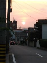 暑さのあまり？