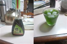 照葉樹林