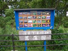 富士市の不思議・・・浮島工業団地脇の自然