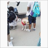 まさはる君