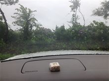 ぶらぶら日記〜宮沢賢治の雨ニモマケズVSマイケル・さんですの雨ニモマケズ