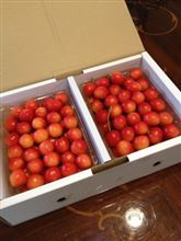 いただきもの（＾＾