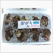 業務連絡　　リベンジ岩牡蠣オ ...