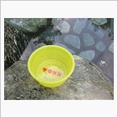 夏休みのスケジュール決まる