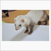 真面目過ぎると疲れちゃうよ…