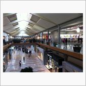 MS Store