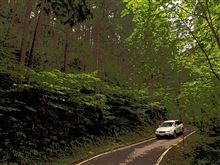 岐阜県道４０８号中野方苗木線　