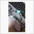 新しいメガネ