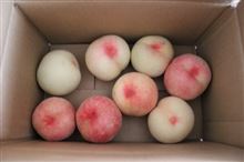 ひとあしお先に♪うふふ