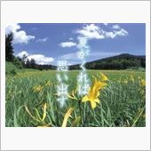 夏の思い出♪
