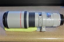 出番のほとんど無いEF400㍉F5.6L で、久しぶりの撮影