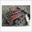 わいるどな蒲焼だろ？