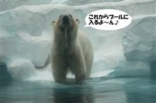 始まりました…
