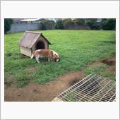 動きなし。