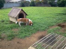動きなし。 動きなし。