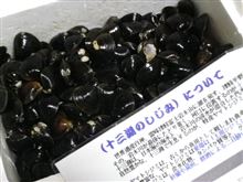 「土用のしじみ」で！？