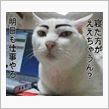 気が付けば明日になってしまった…