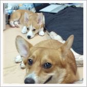 やっと家族？