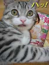 自分でも驚いた…