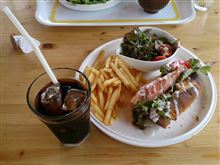 仙養ヶ原ドッグラン～(^o^)…。
