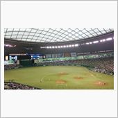 野球観戦（埼玉西武VSオリッ ...