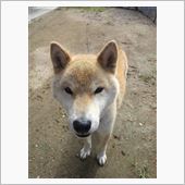 デイキャンプ＆温泉