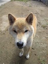 デイキャンプ&温泉 デイキャンプ&温泉