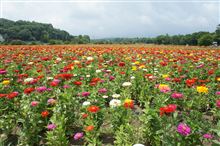 鰻オフin2013夏♪