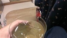 やっと出会えた！