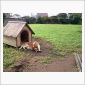 晴れるといいね。