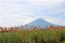 富士山と花巡り♪