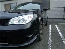 今週は