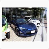 信号待ちで、、、見かけた　濃 ...