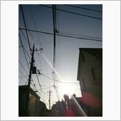 猛暑復活の朝～(〃∇〃) ｱ ...