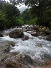 大きいの釣りました♪