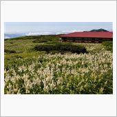 白山登山（観光新道～大汝～四 ...