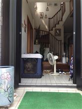 夏休み初日