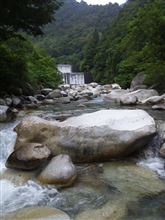 暦の上では秋ですが・・・夏本番！？