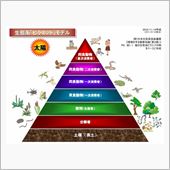 性体験。