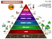 性体験。