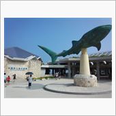 【美ら海水族館】に・・・。