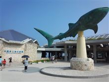 【美ら海水族館】に・・・。