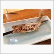 今日のお昼ごはん