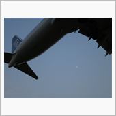 おやぢ放牧 2013 夏