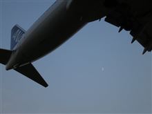 おやぢ放牧 2013 夏